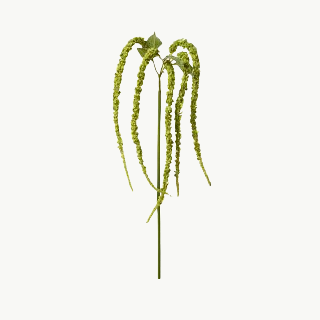 Artificial hanging Amaranthus greenery spray with bright green blooming flower buds.
