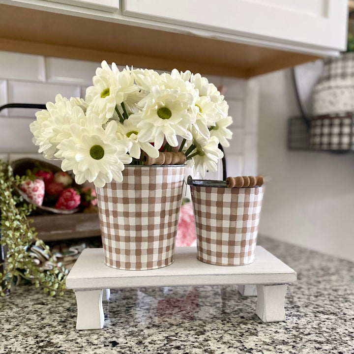 White Daisy Bundle