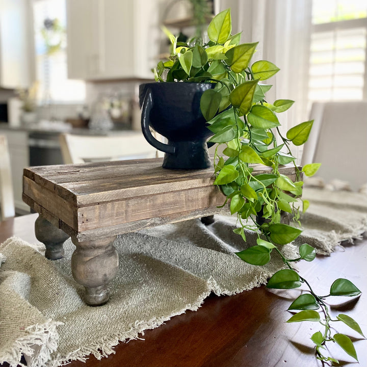 Philodendron Hanging Plant