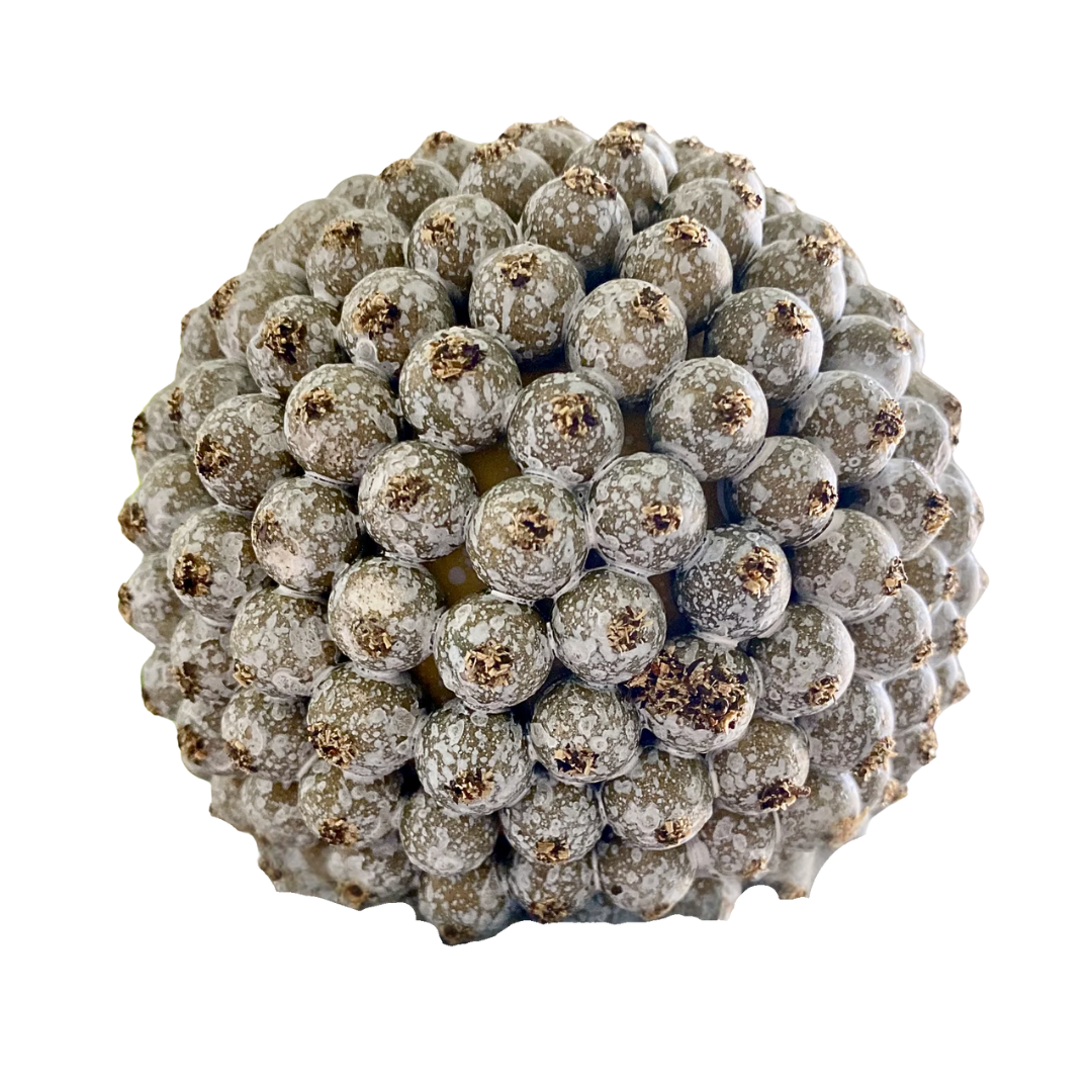 Weathered Berry Orbs