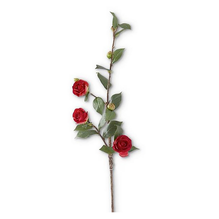 Set/3 Red Camellia Stems