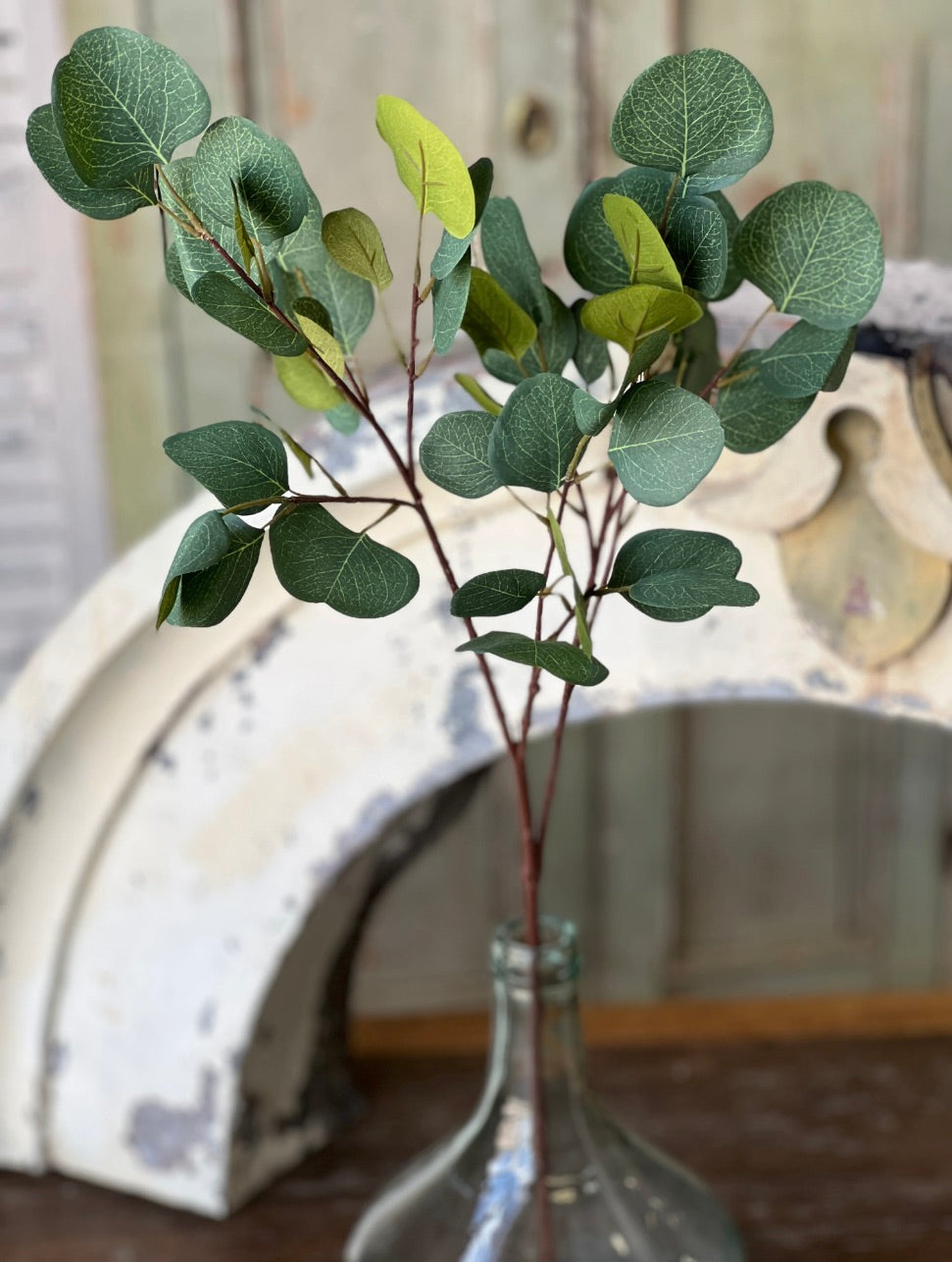 Set/4 Eucalyptus Sprays