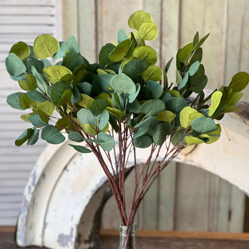 Set/4 Eucalyptus Sprays