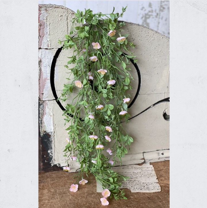Draping Pink Primrose