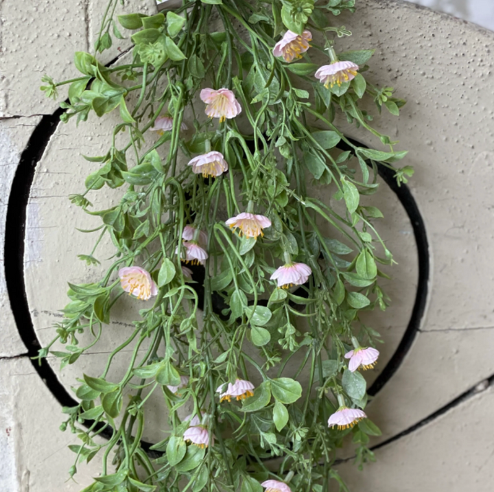Draping Pink Primrose