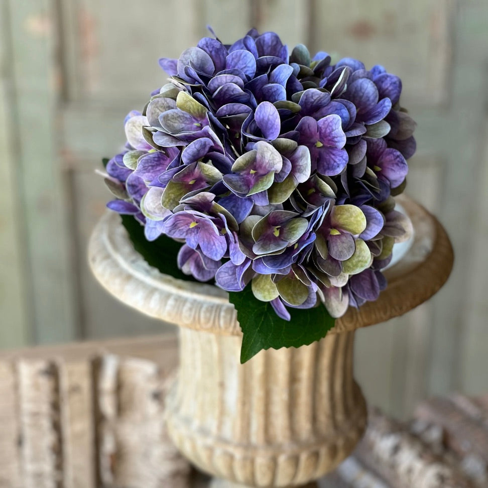 Violet Haze Hydrangea Stem
