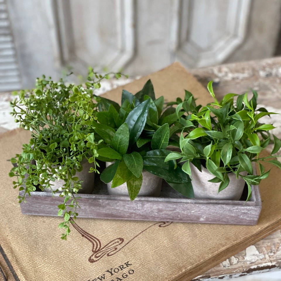 Townsend Pots Arrangement