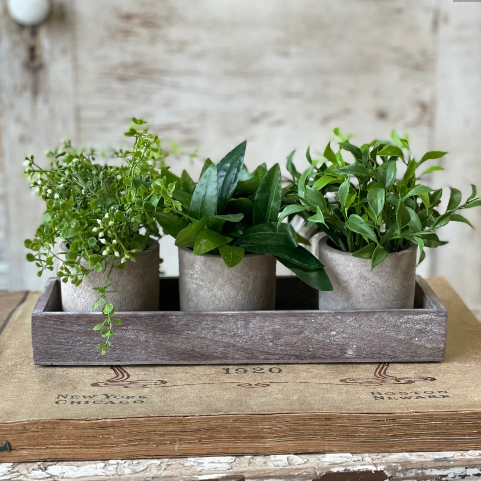 Townsend Pots Arrangement