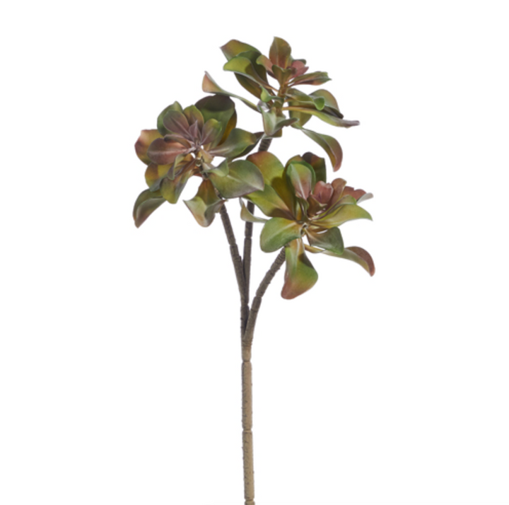 Set/3 Succulent Picks