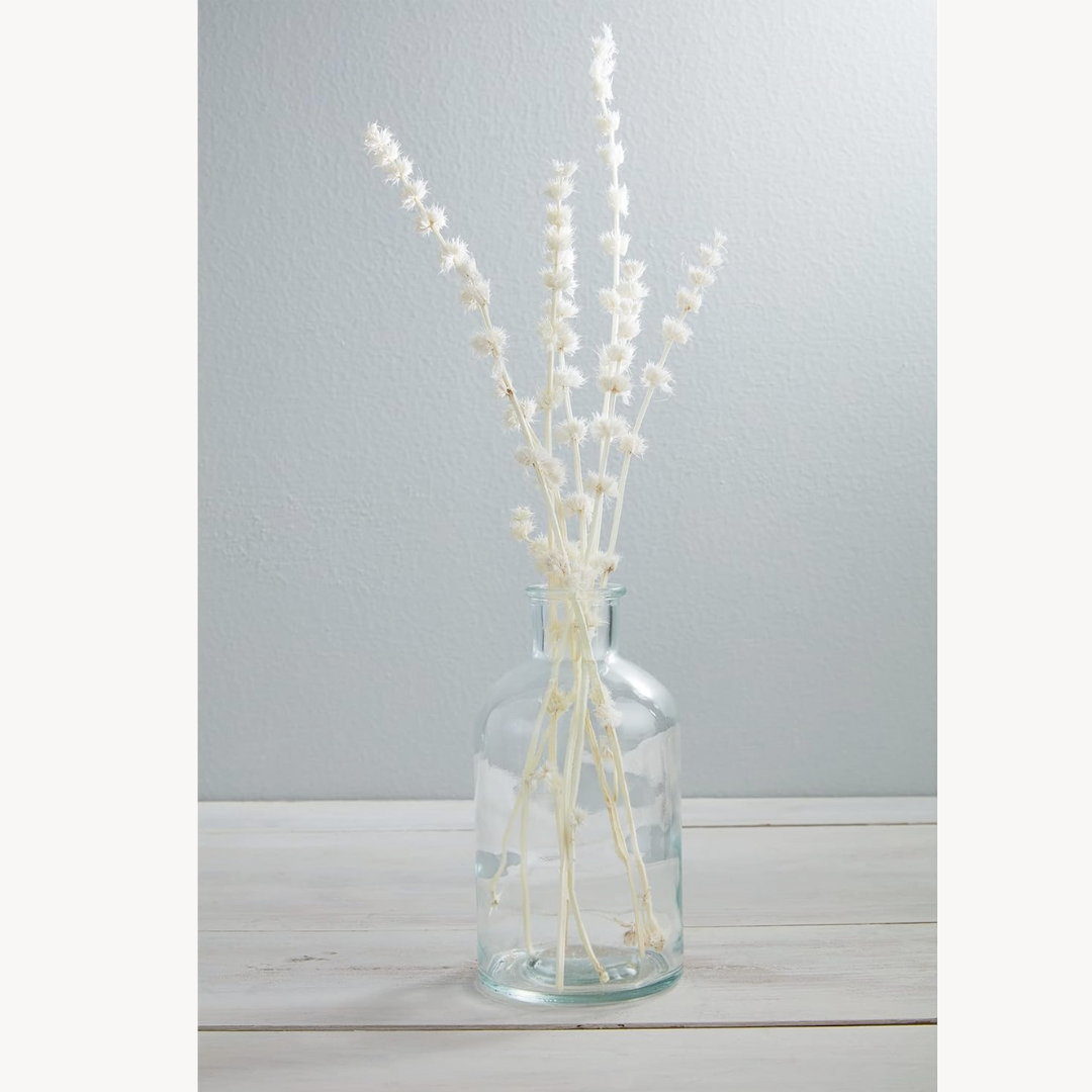 Lions Grass Bundle