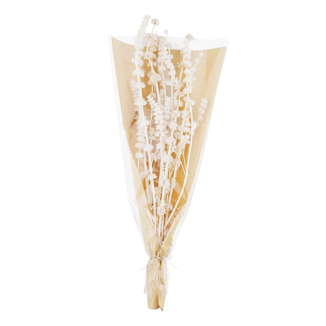 Lions Grass Bundle