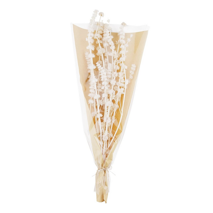 Lions Grass Bundle