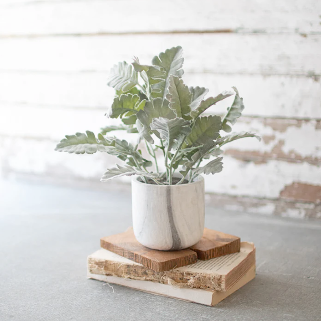 Potted Greenery