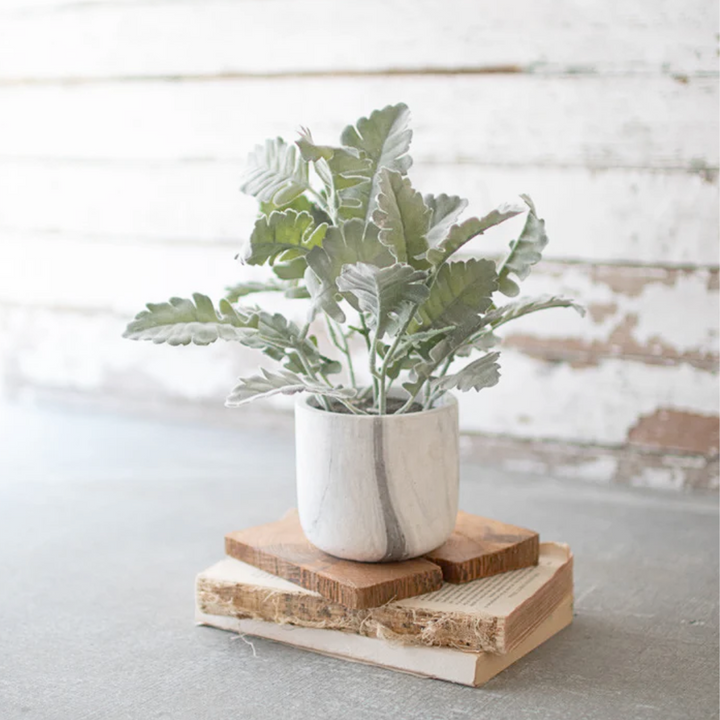 Potted Greenery