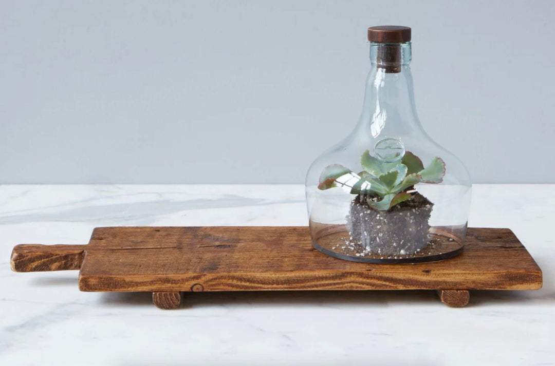 Demijohn Cloche