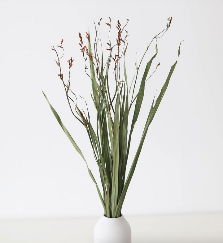 Dried Renanthera Orchid Grass Bundle