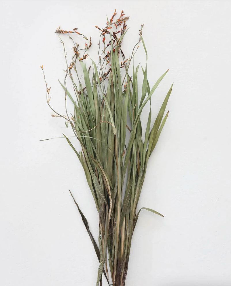 Dried Renanthera Orchid Grass Bundle