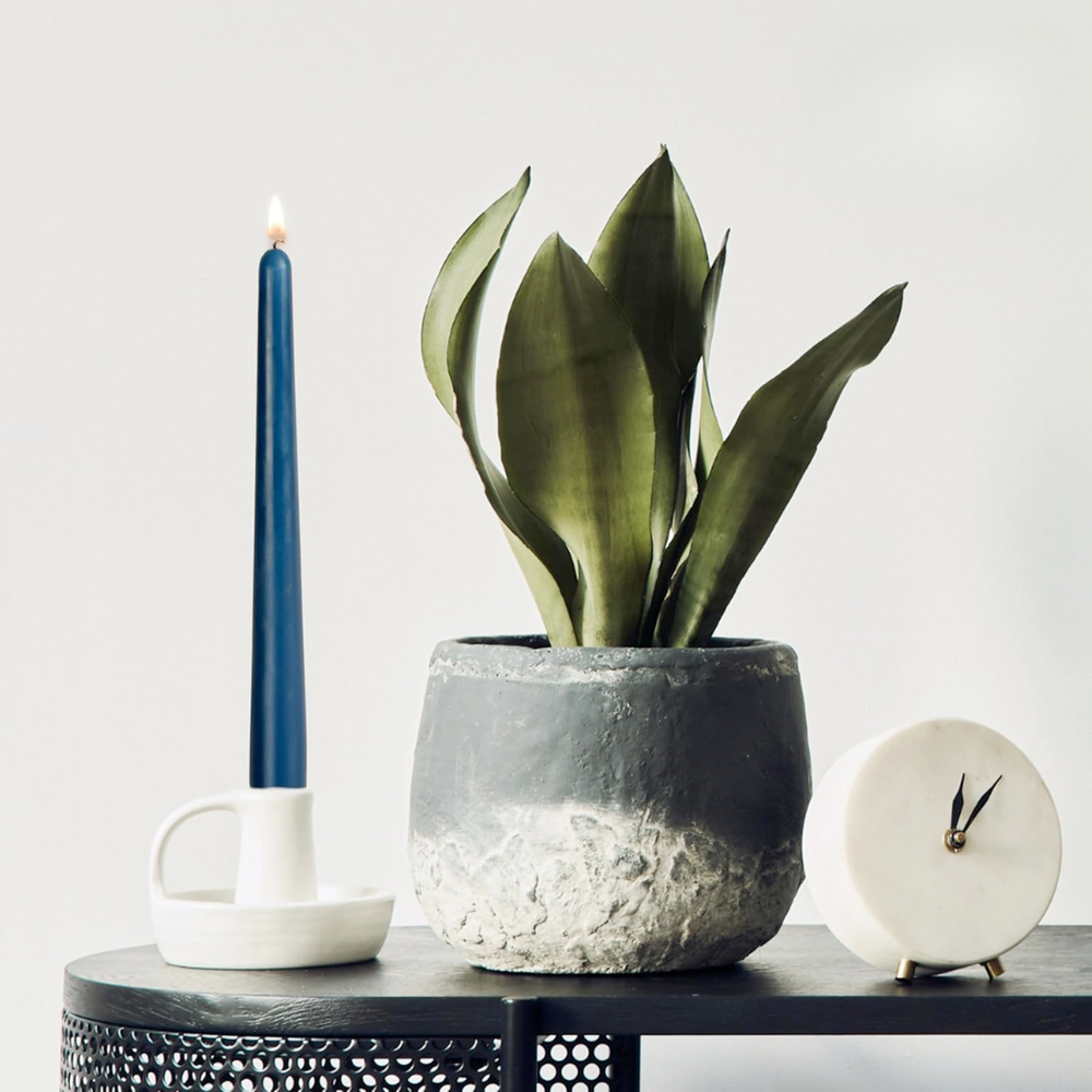 Potted plant, blue taper candle, white mug, and small clock on a dark surface with a light gray background