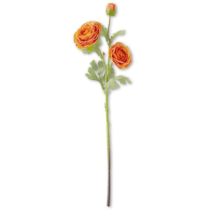 Set/2 Triple Bloom Orange Ranunculus Stems