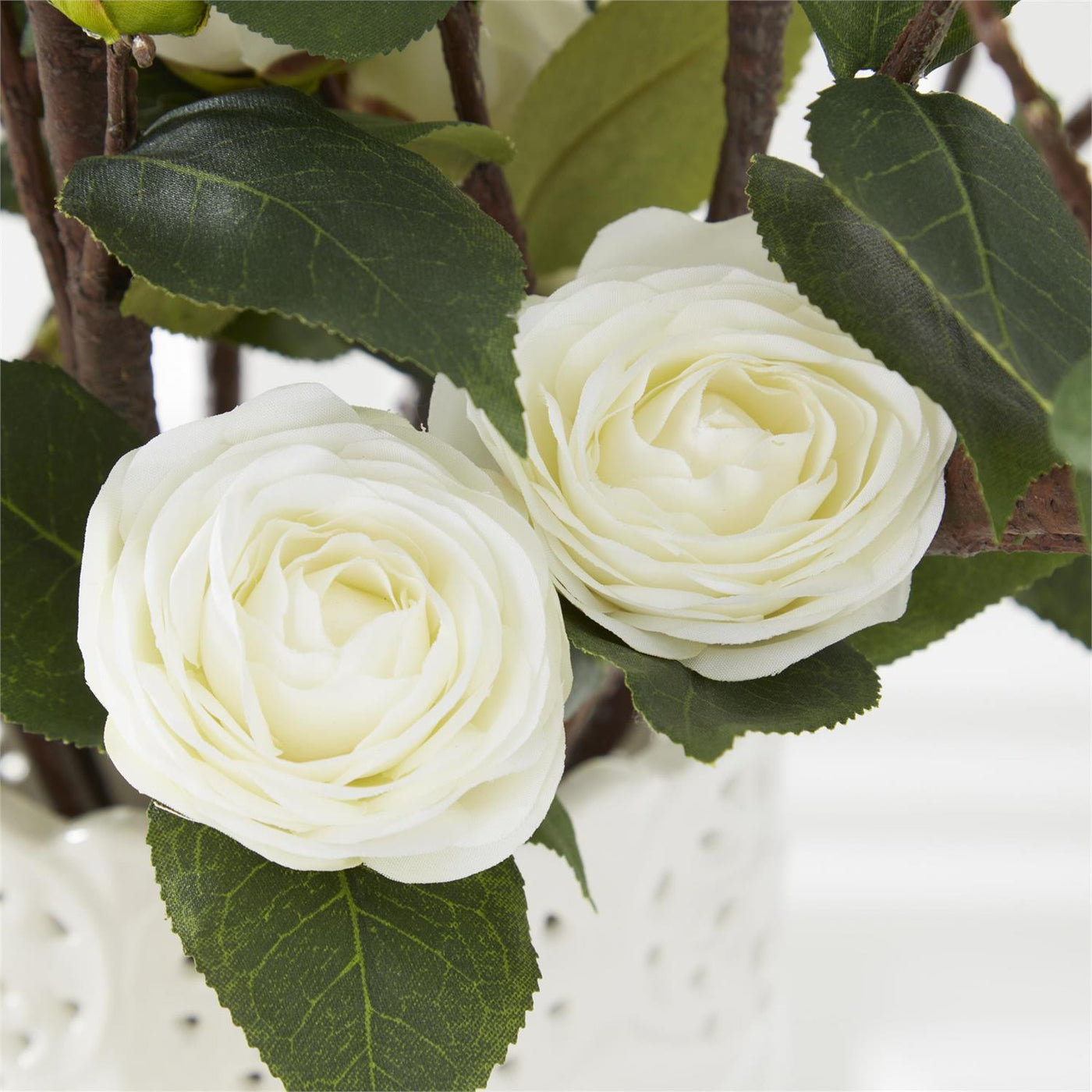 White Camellia Stem