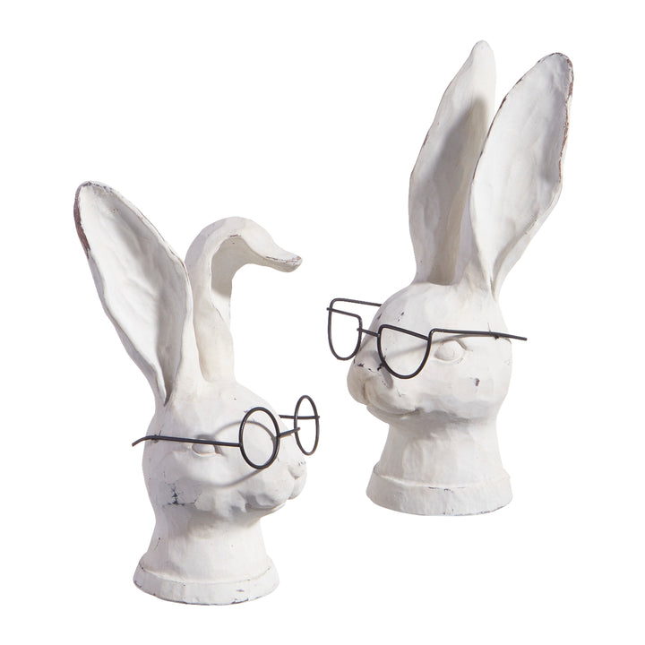 Rabbit With Glasses