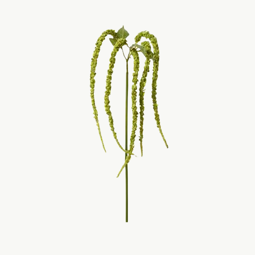 Artificial hanging Amaranthus greenery spray with bright green blooming flower buds.