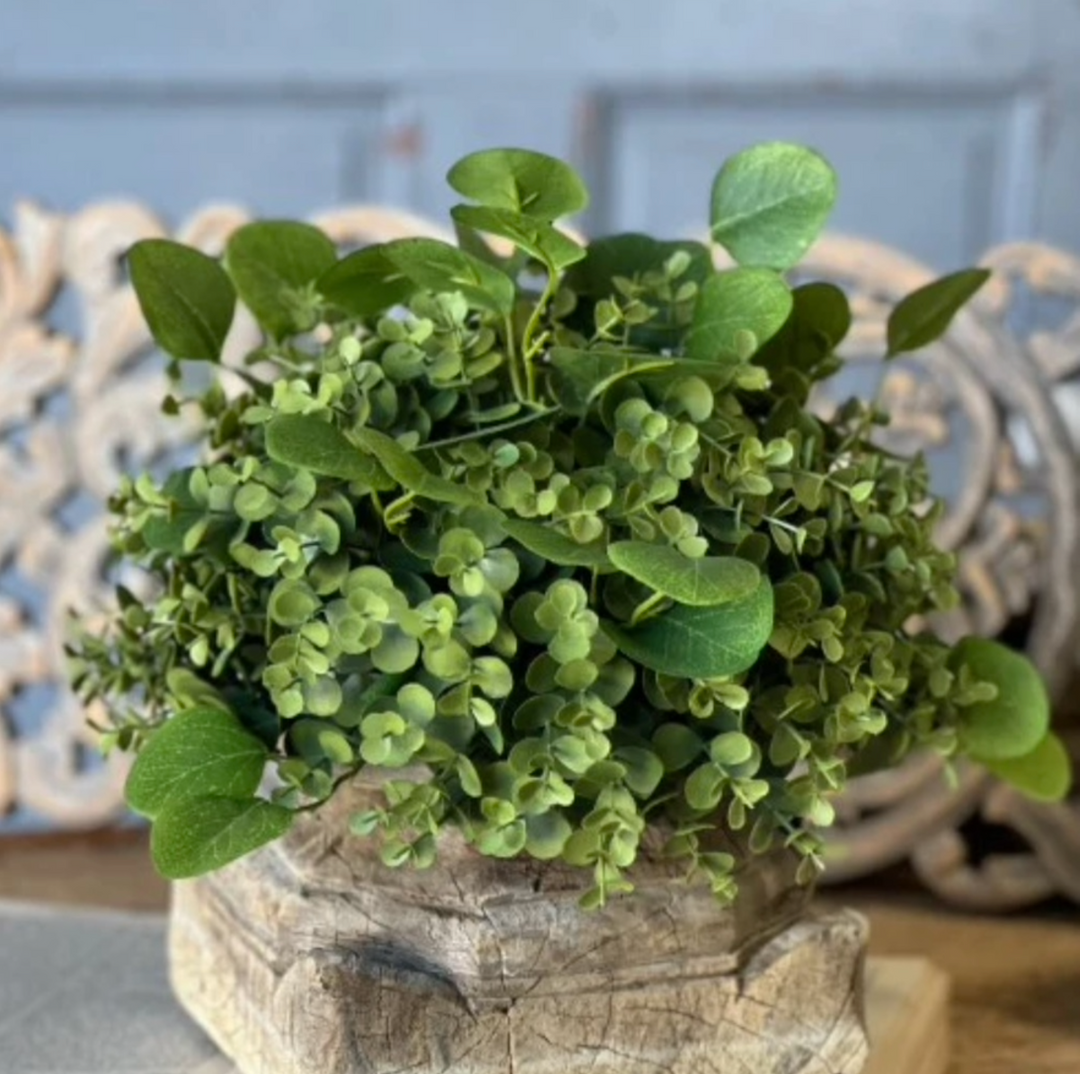 Green potted plant on a wooden stump with a blurred background