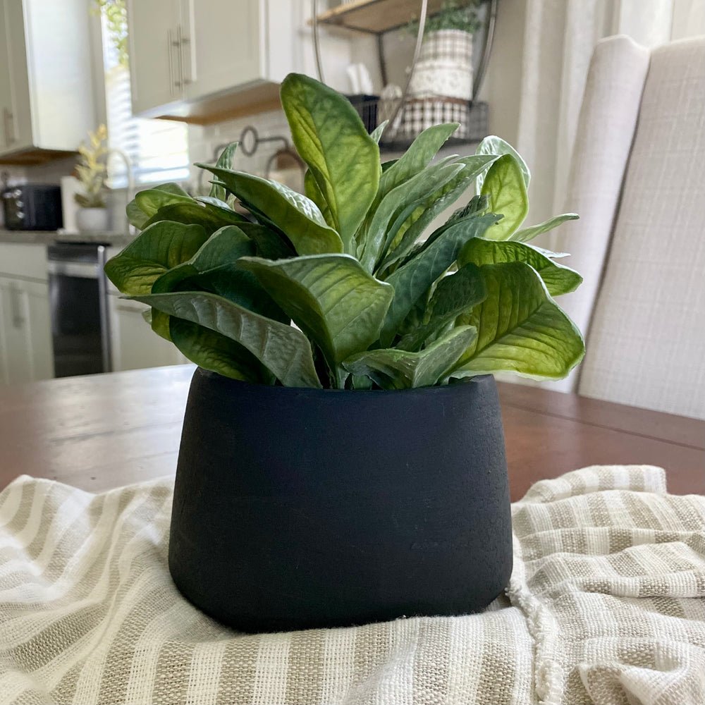 Artificial succulent plants in matte black pot, arranged on a wooden surface with a cloth beside them.