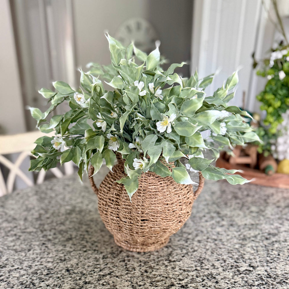 Potted plant in a woven basket on a textured surface