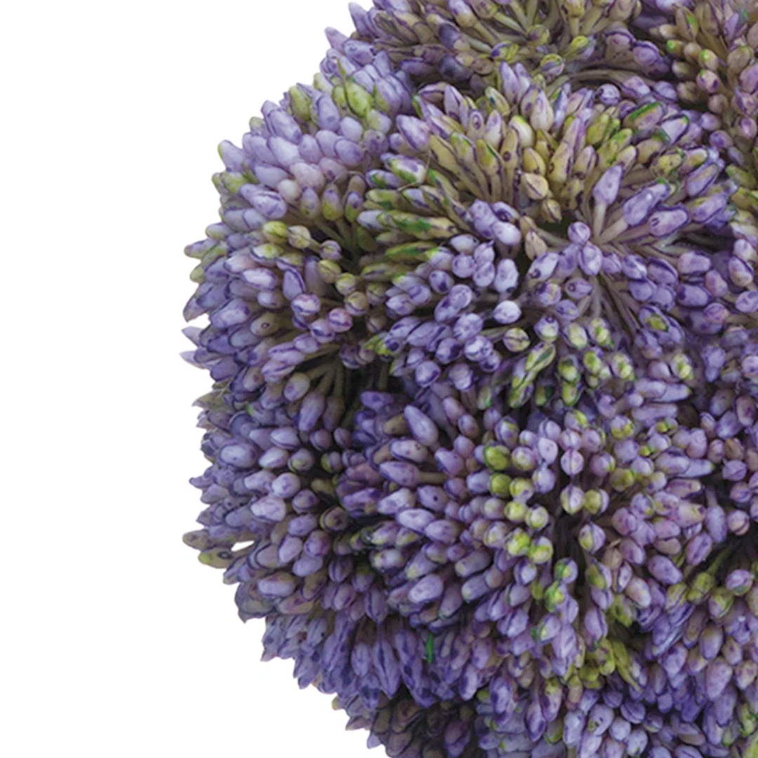 Set/2 Light Purple Sedum Balls