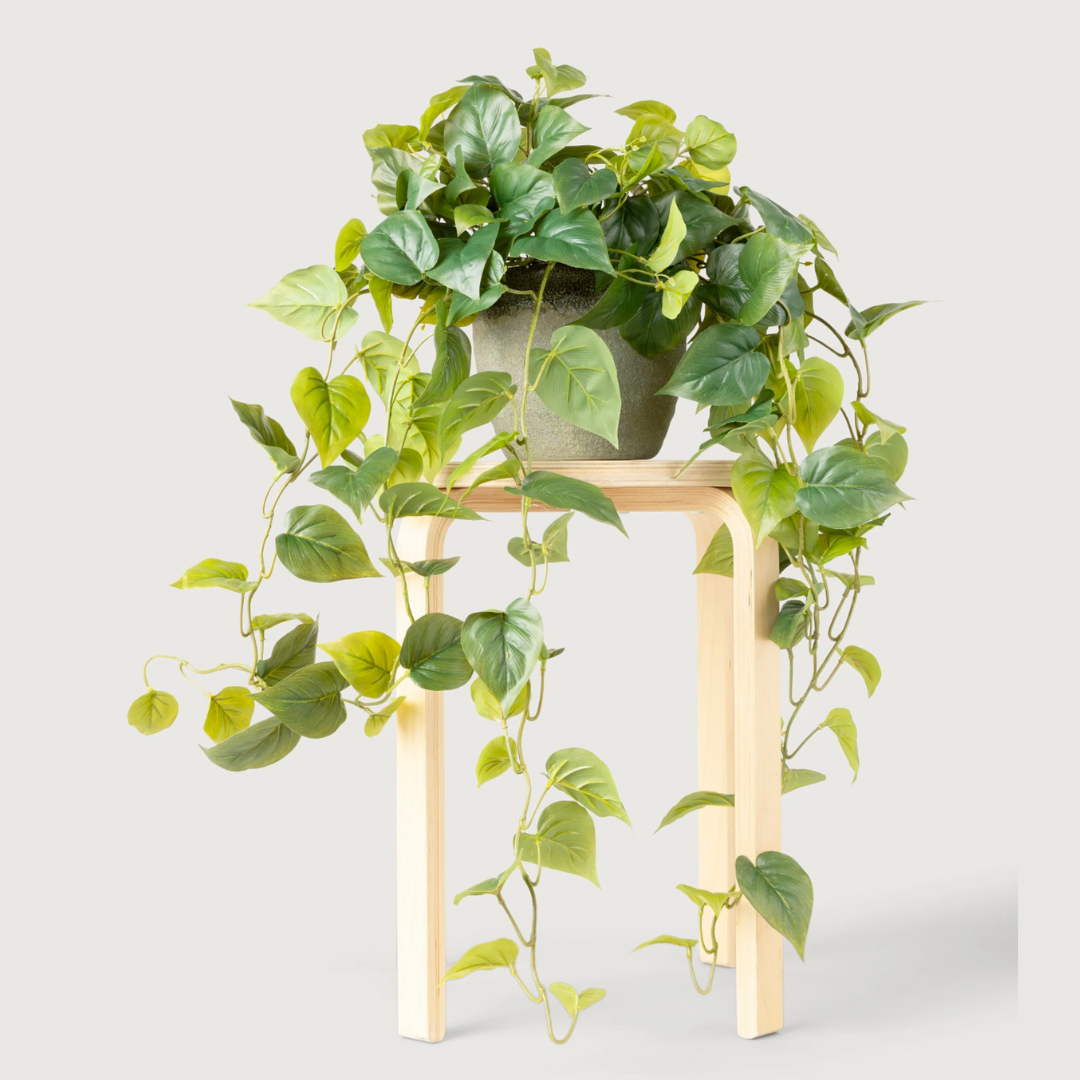 Faux Philodendron potted plant on a wooden stool against a light gray background
