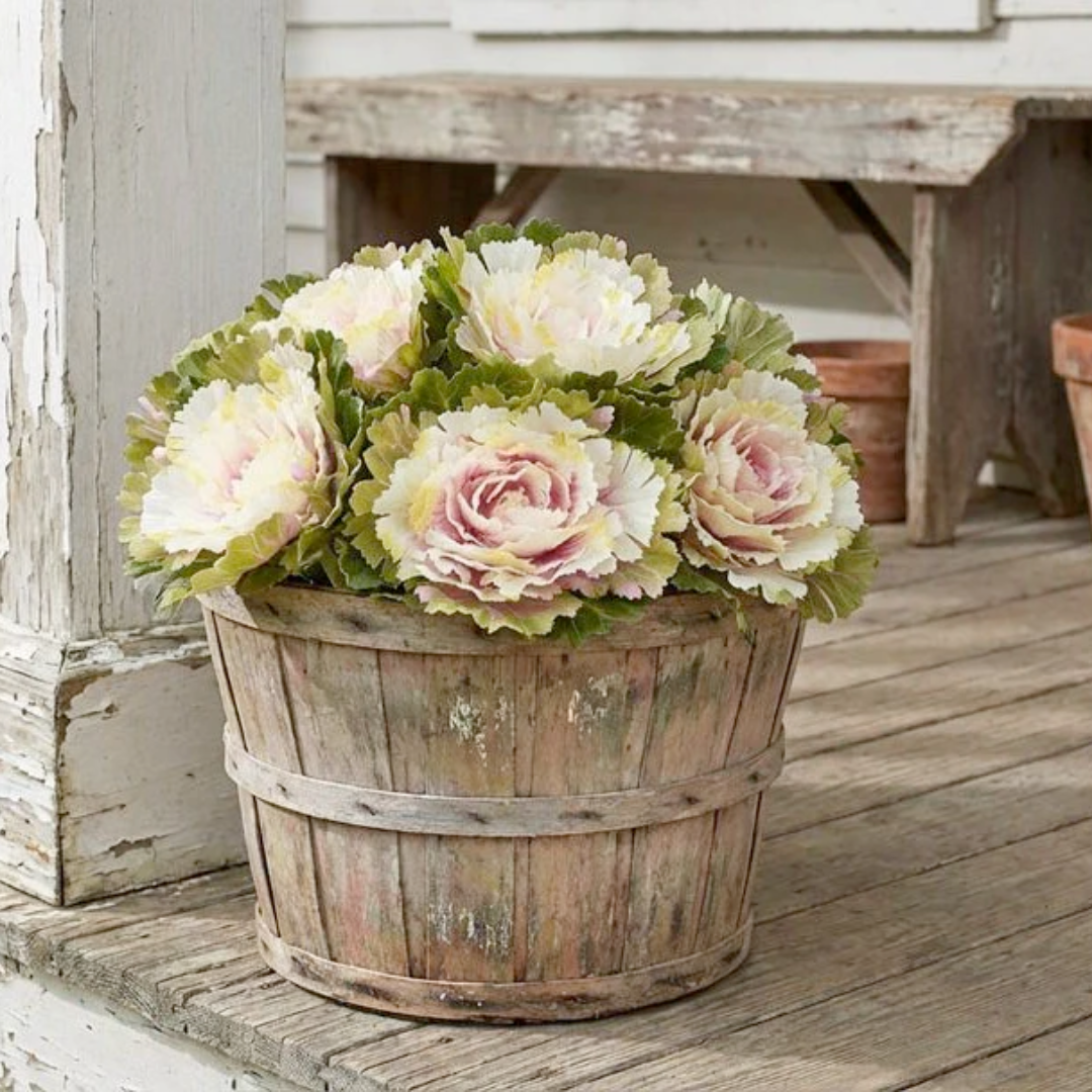 Pink potted cabbages in a rustic wooden planter on a wooden deck