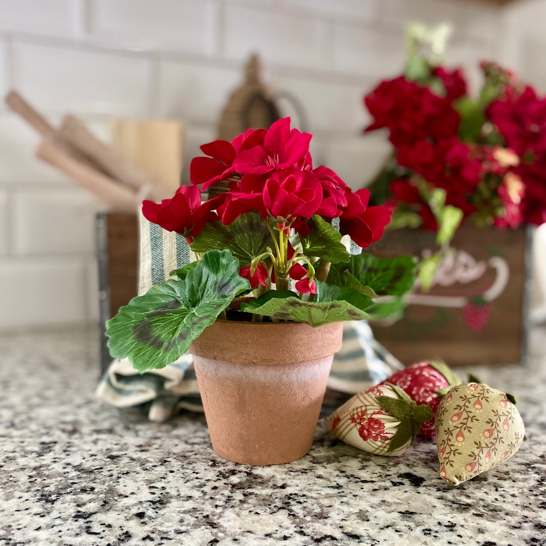 Potted Red Geranium
