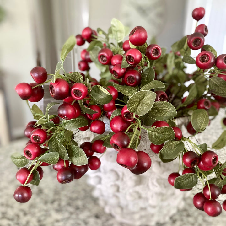 Red Pod Stem