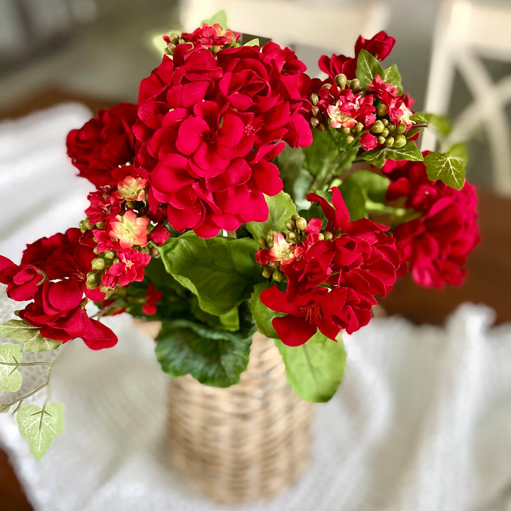 Red Geranium & Kalanchoe Bush