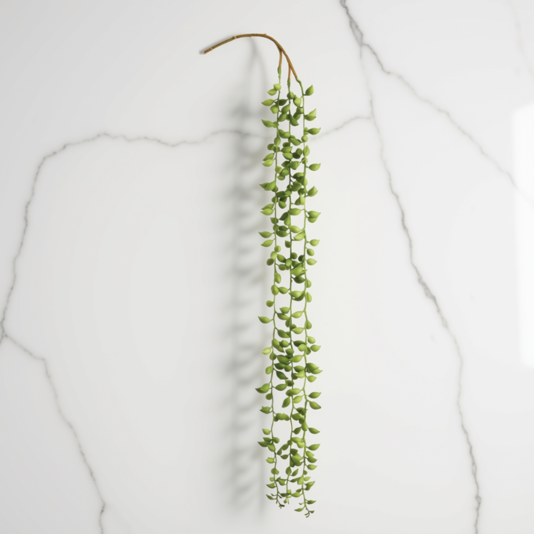 A hanging green trailing plant with small oval leaves on a thin stem, photographed against a white marble-patterned background.
