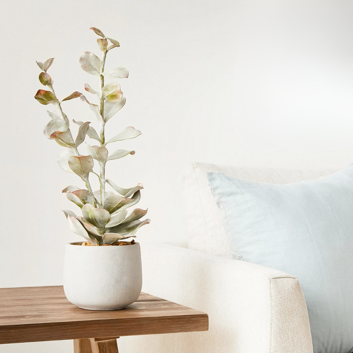 An artificial succulent plant in a gray cement pot, placed on a wooden table with a neutral colored cushion in the background.
