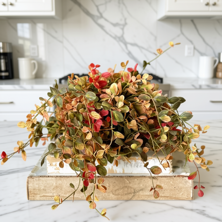 A potted trailing plant with small oval leaves in green, tan, and red tones, displayed in a rustic wooden crate on a white marble kitchen countertop.