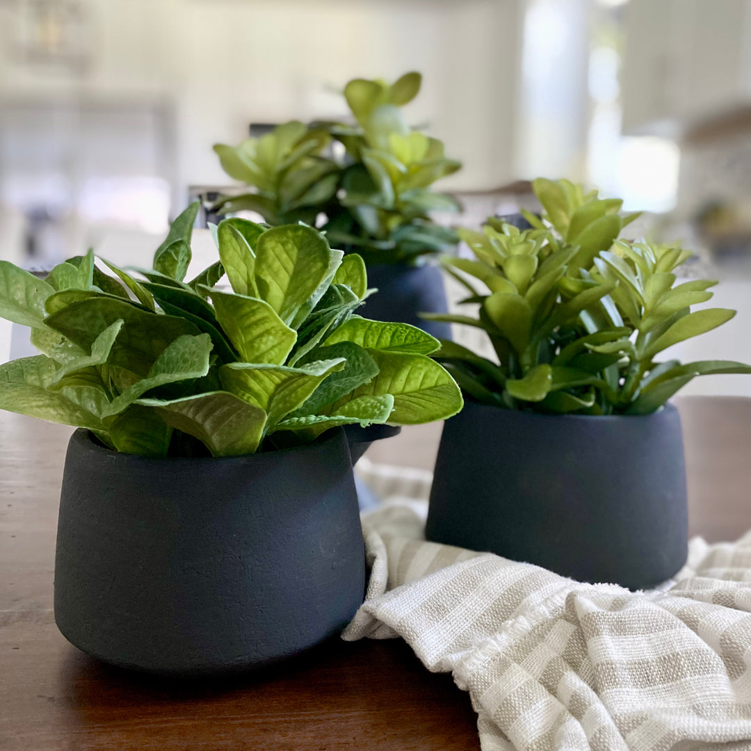 Three artificial succulent plants in matte black pots, arranged on a wooden surface with a cloth beside them.