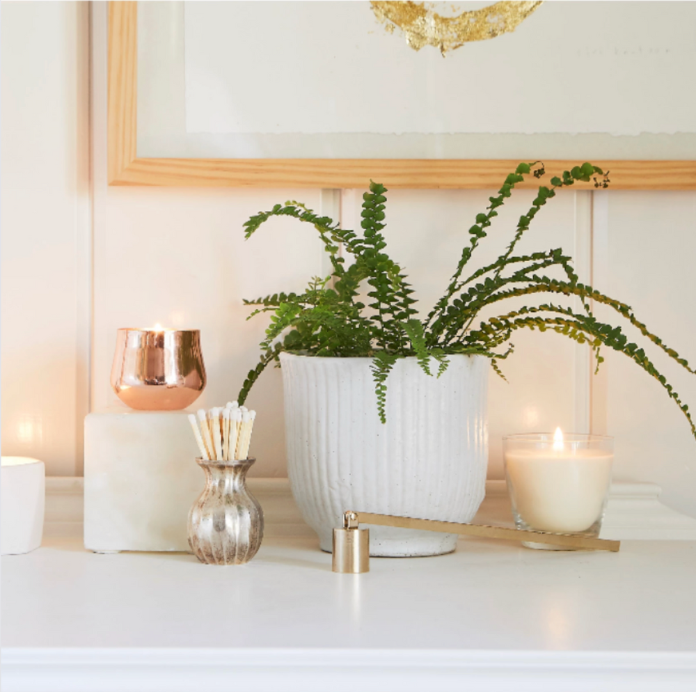 Decorative setup with a potted plant, candles, vases and candle care tools on a white surface.