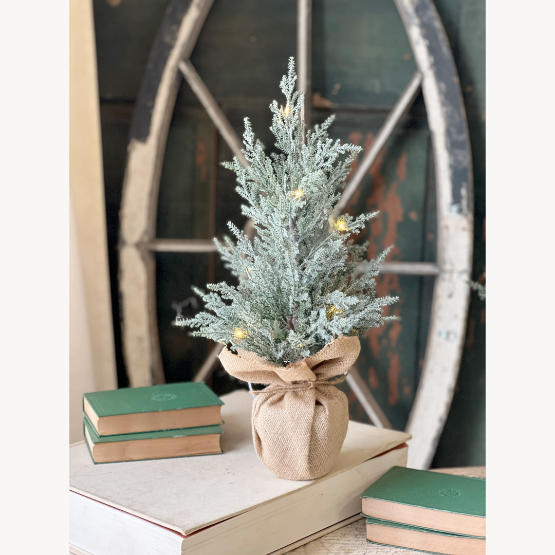 Decorative potted plant with lights on a surface with books and a rustic wheel in the background