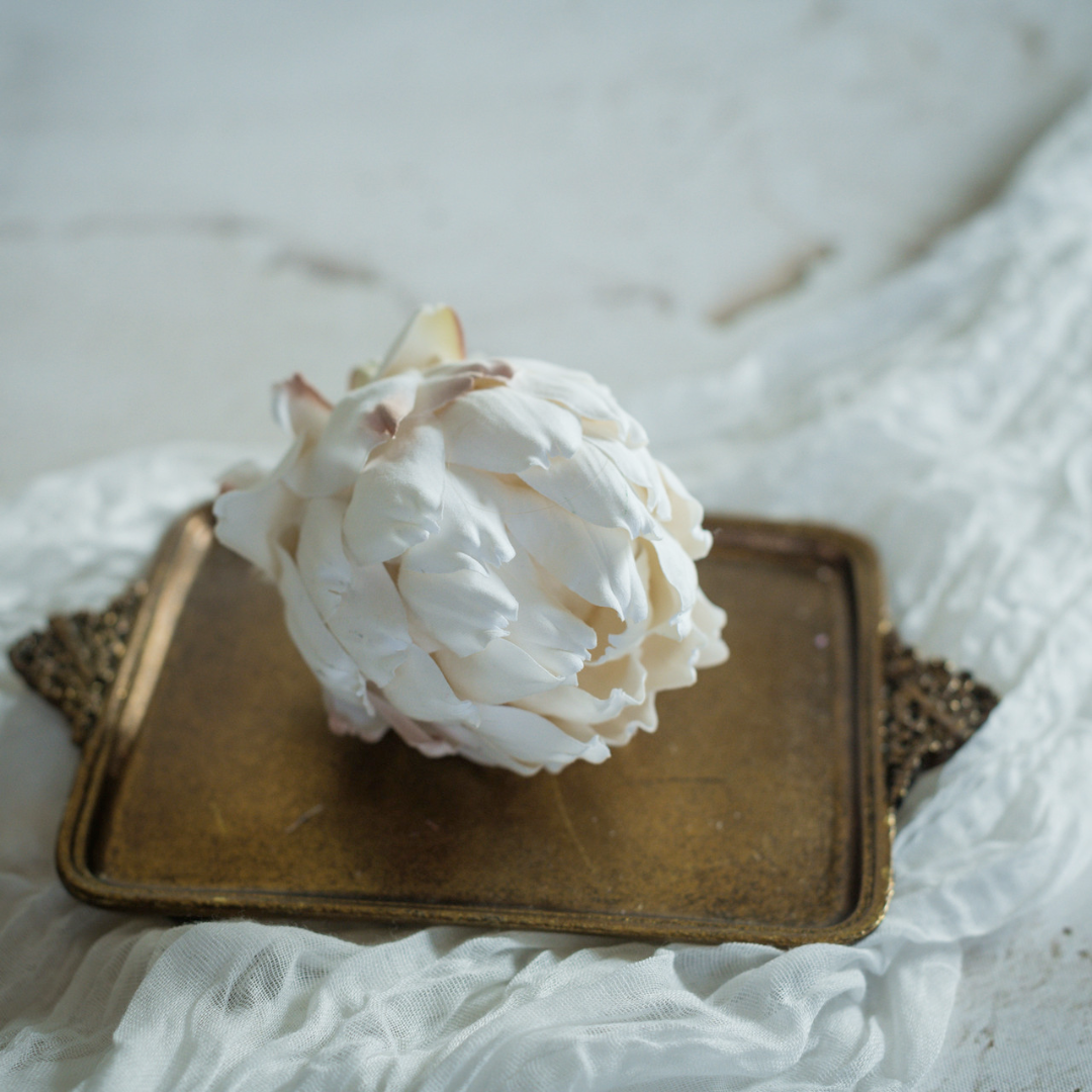 Cream Artichoke Head on a gold tray with a soft white background