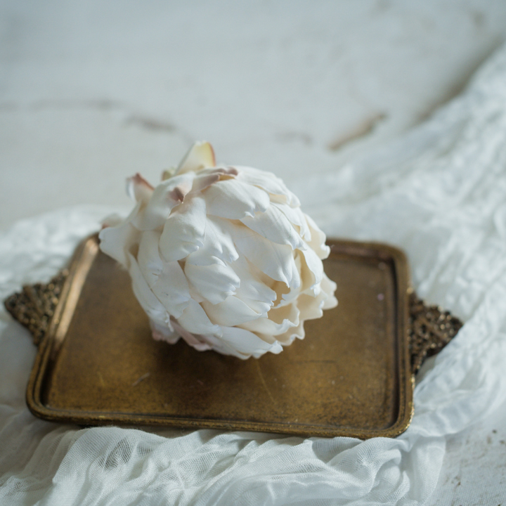 Cream Artichoke Head on a gold tray with a soft white background