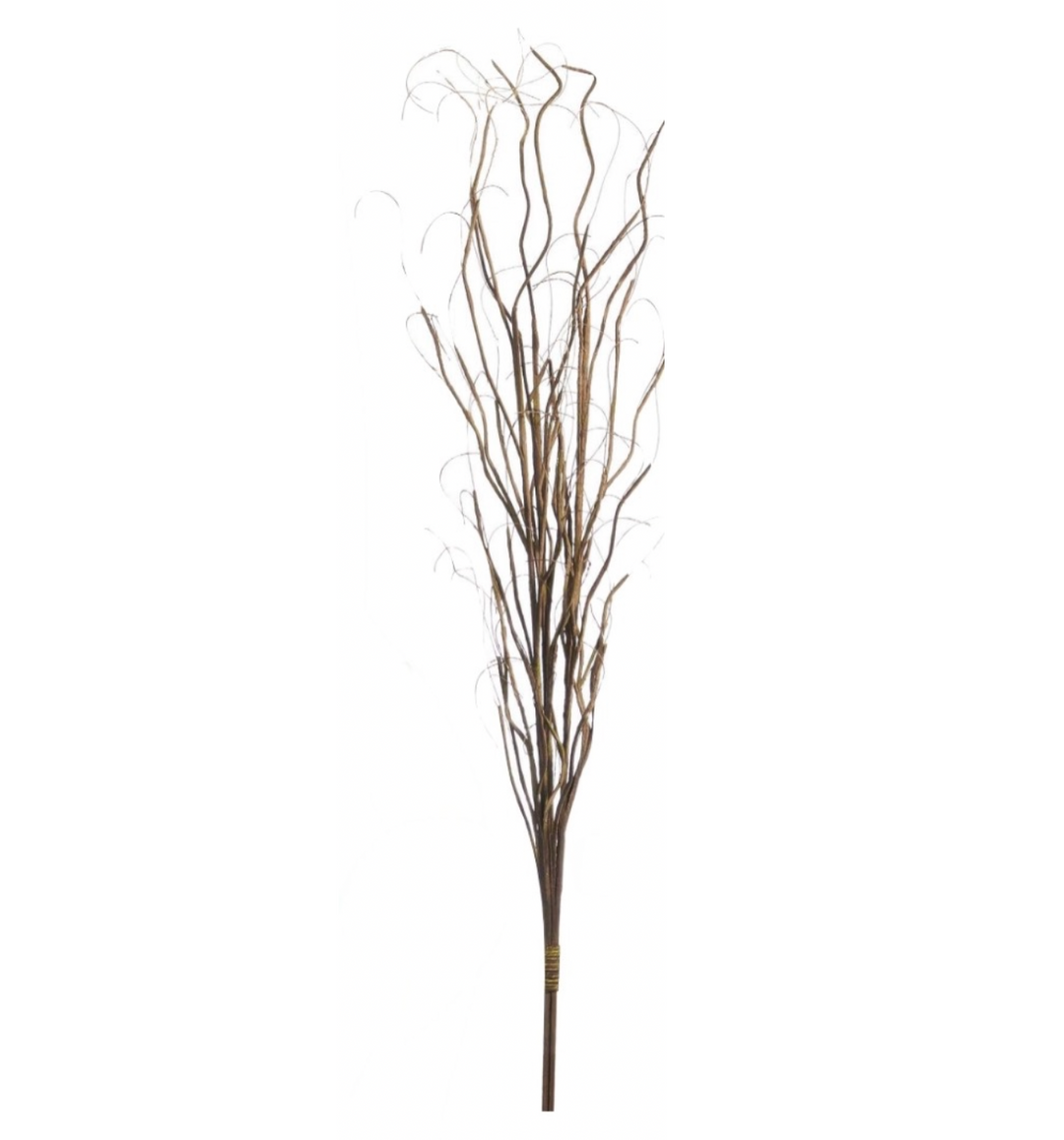 Curly Willow Bundle