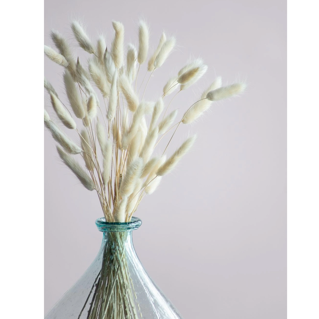 Glass bottle with dried grasses against a light purple background