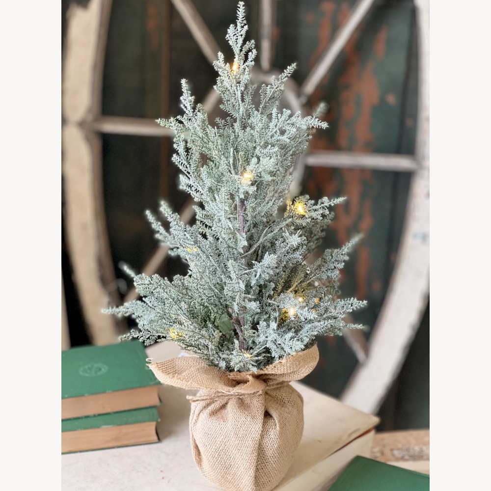 Decorative plant with lights wrapped in burlap on a surface with books in the background