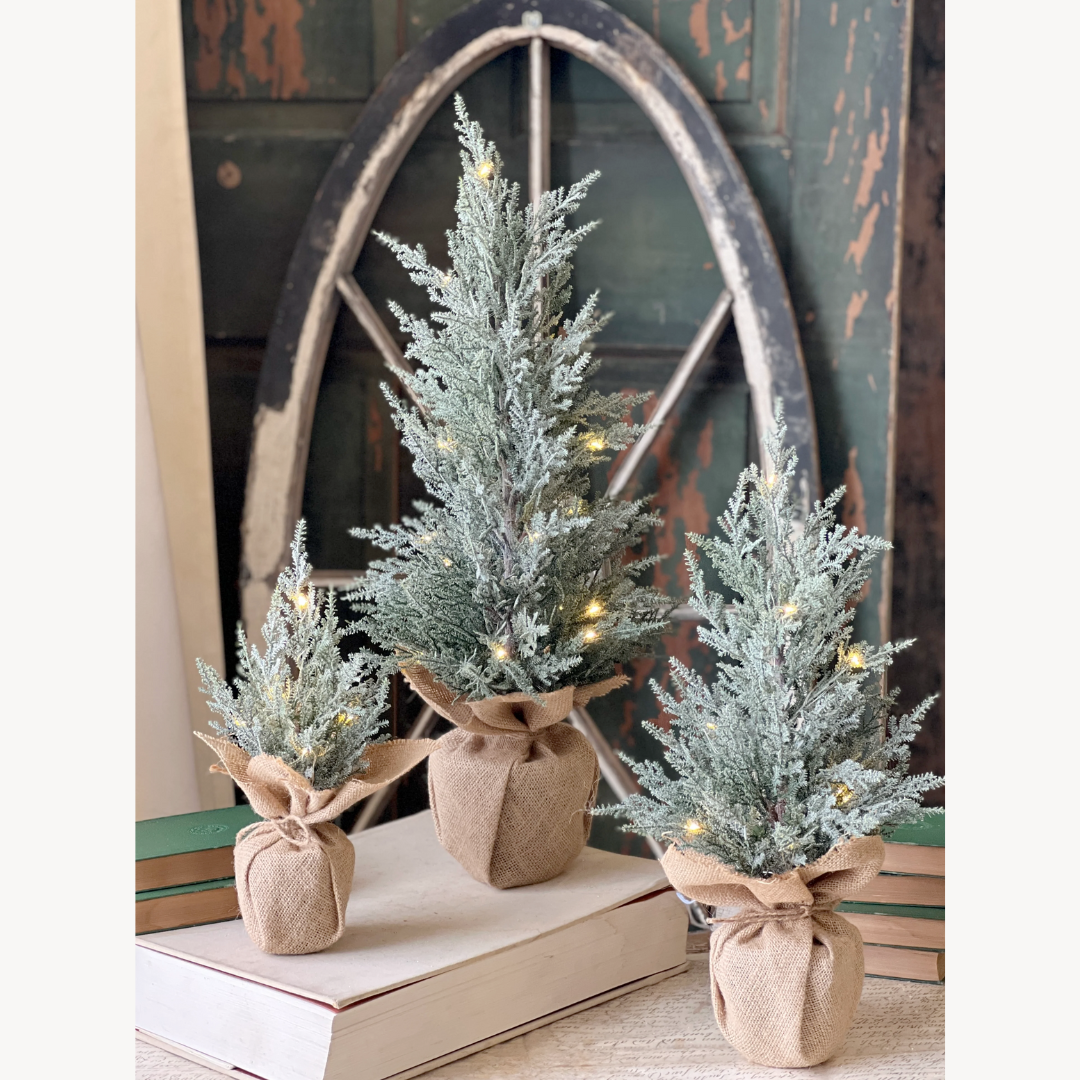Three small artificial potted trees with lights on a rustic wooden surface.