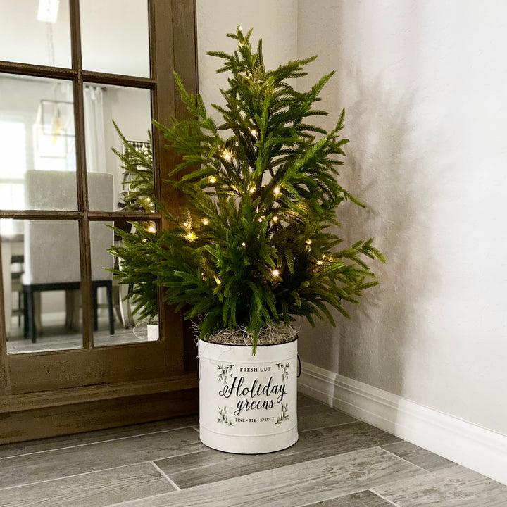 Holiday Greens Pail