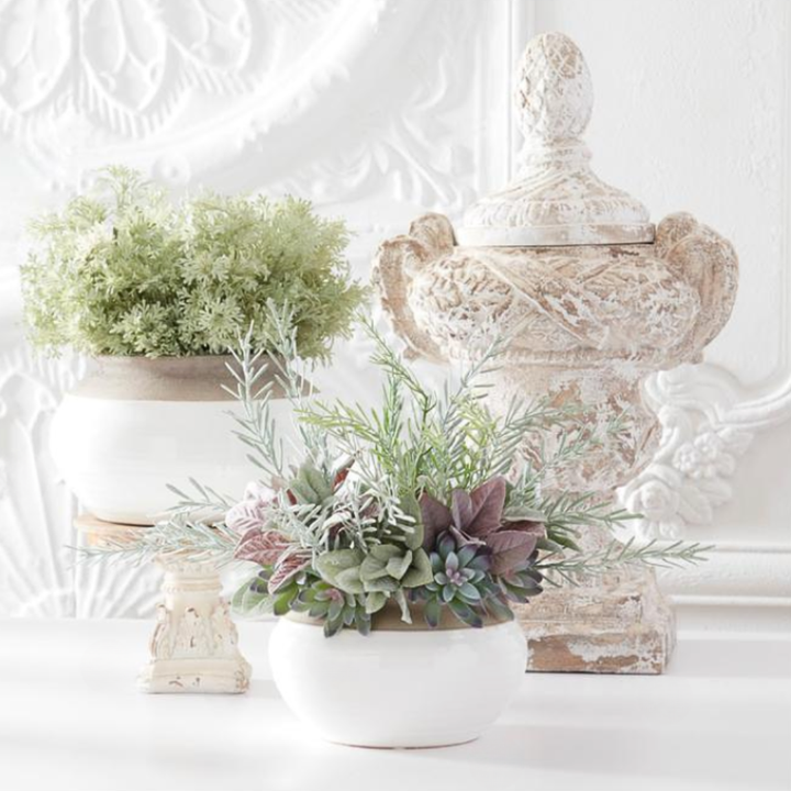 Decorative setting with a textured white urn, potted plants, and a white lace curtain in the background.