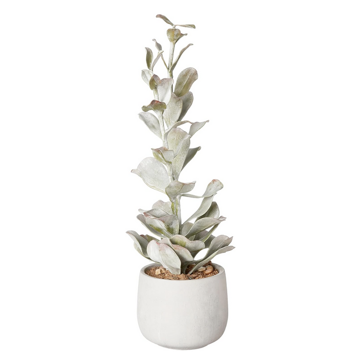 Faux Succulent in Gray Cement Pot